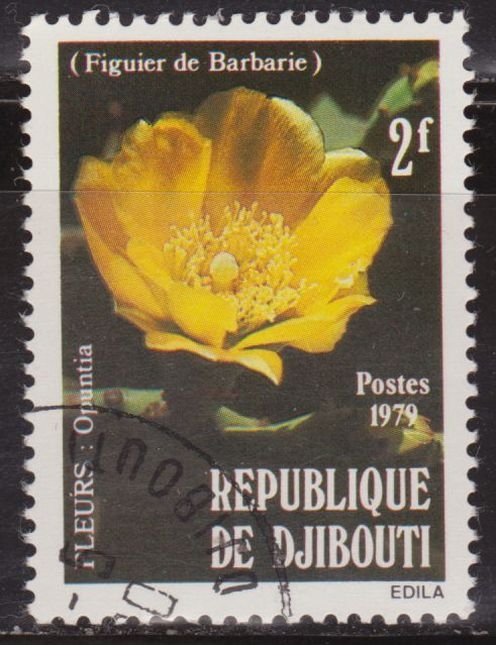 Djibouti 1979 Scott 498 Sello º Flora Flores Flowers Fleur Opuntia 2F